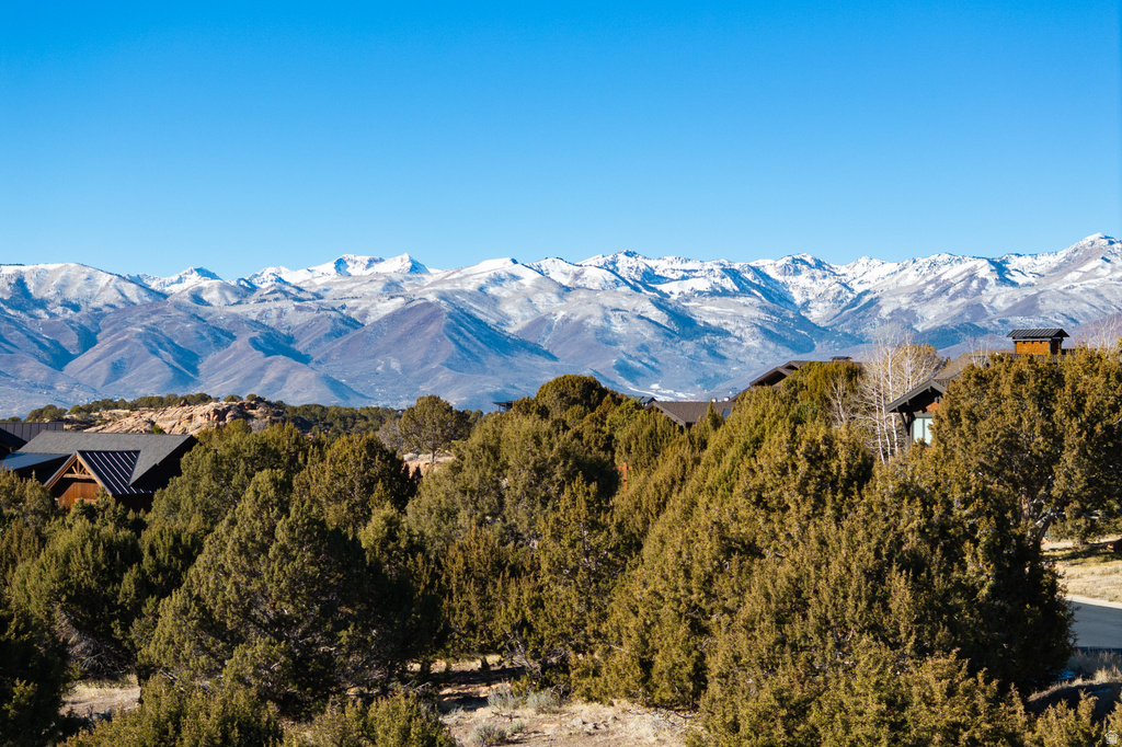 3166 E HORSE MOUNTAIN CIR Heber City, UT 84032