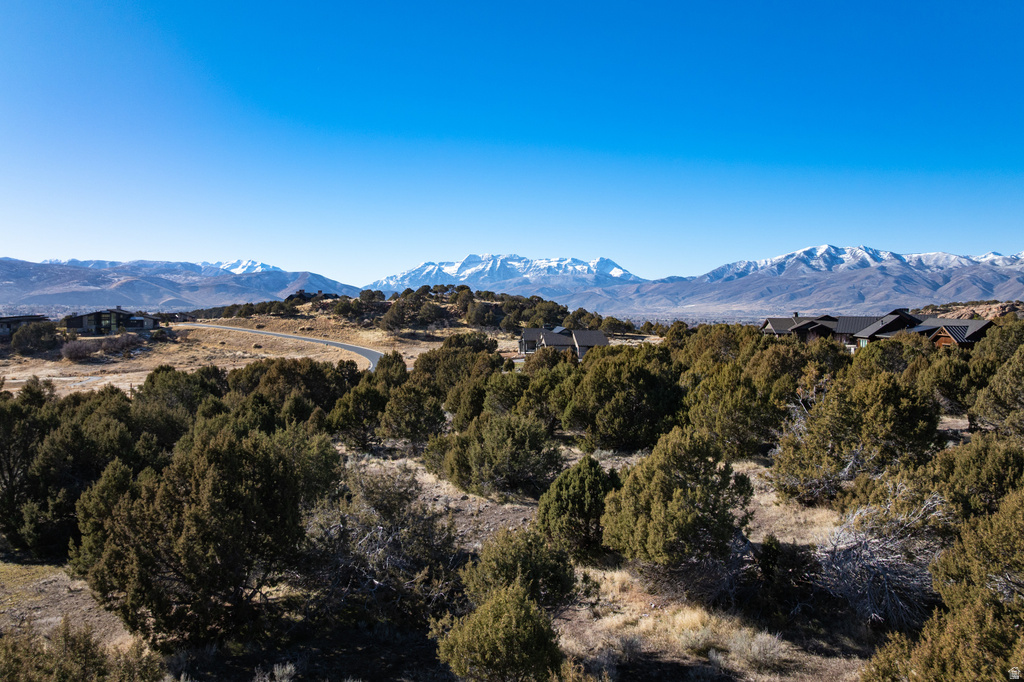 3166 E HORSE MOUNTAIN CIR Heber City, UT 84032