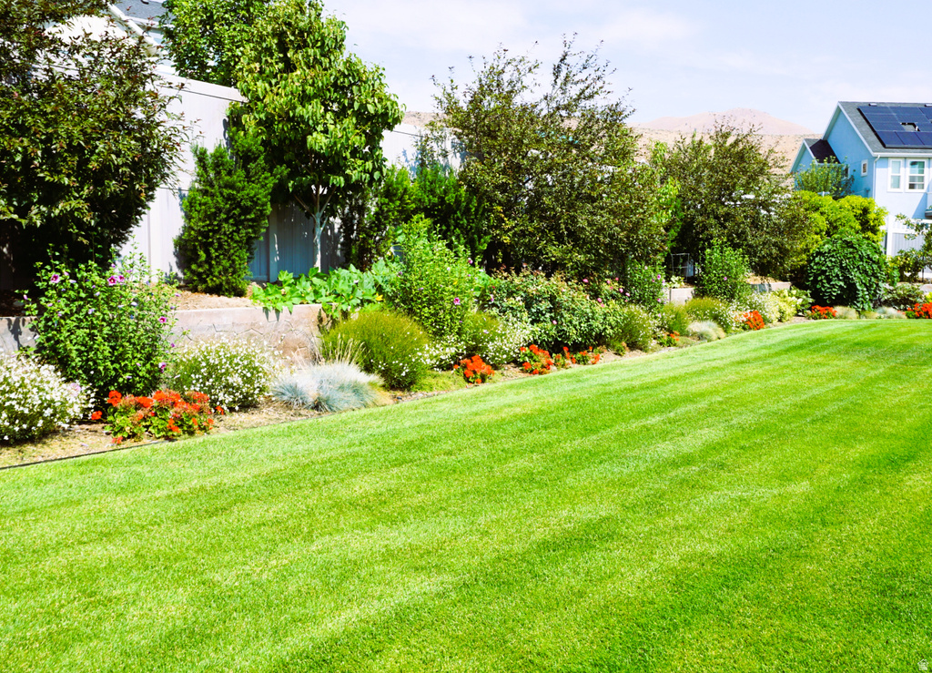 9903 N LIPPIZAN WAY Eagle Mountain, UT 84005