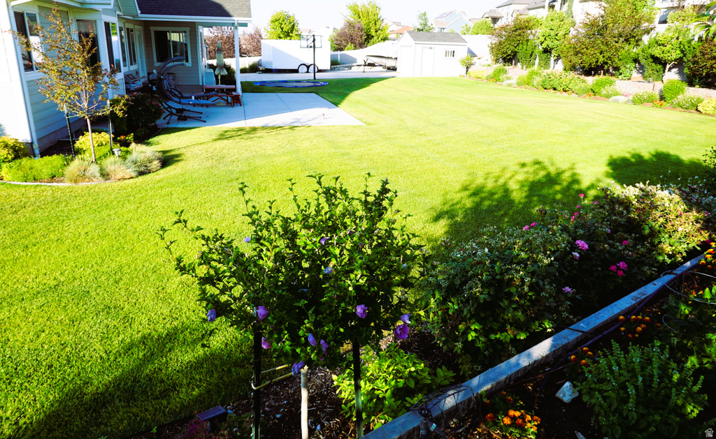 9903 N LIPPIZAN WAY Eagle Mountain, UT 84005