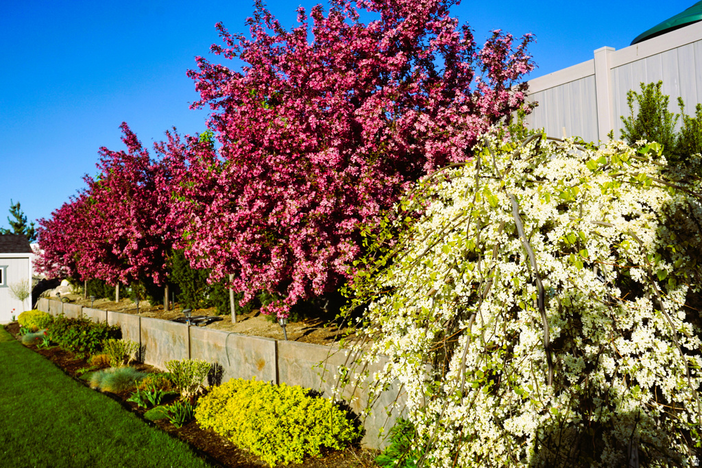 9903 N LIPPIZAN WAY Eagle Mountain, UT 84005