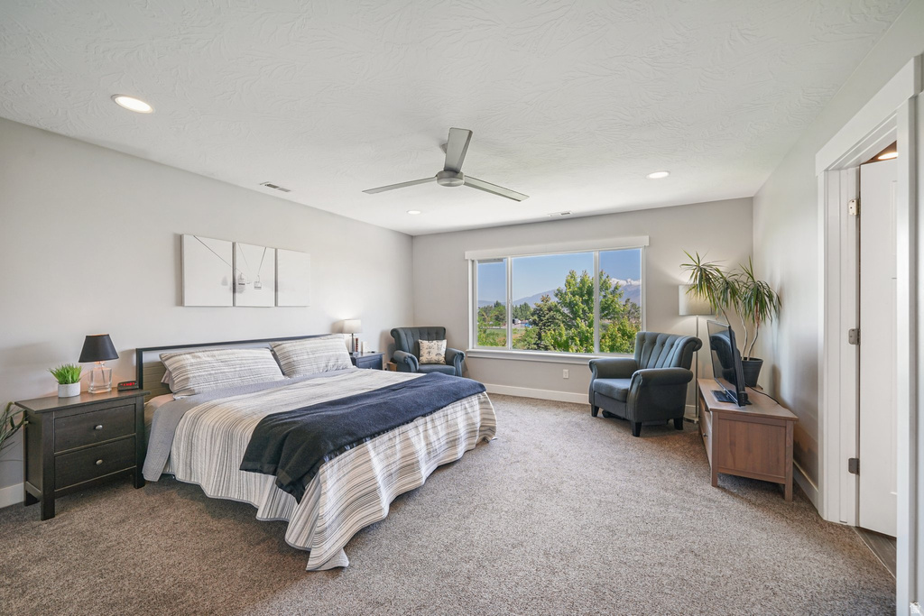 149 E 230 N Vineyard, UT 84059