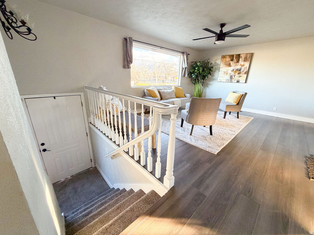 482 E 900 N Spanish Fork, UT 84660