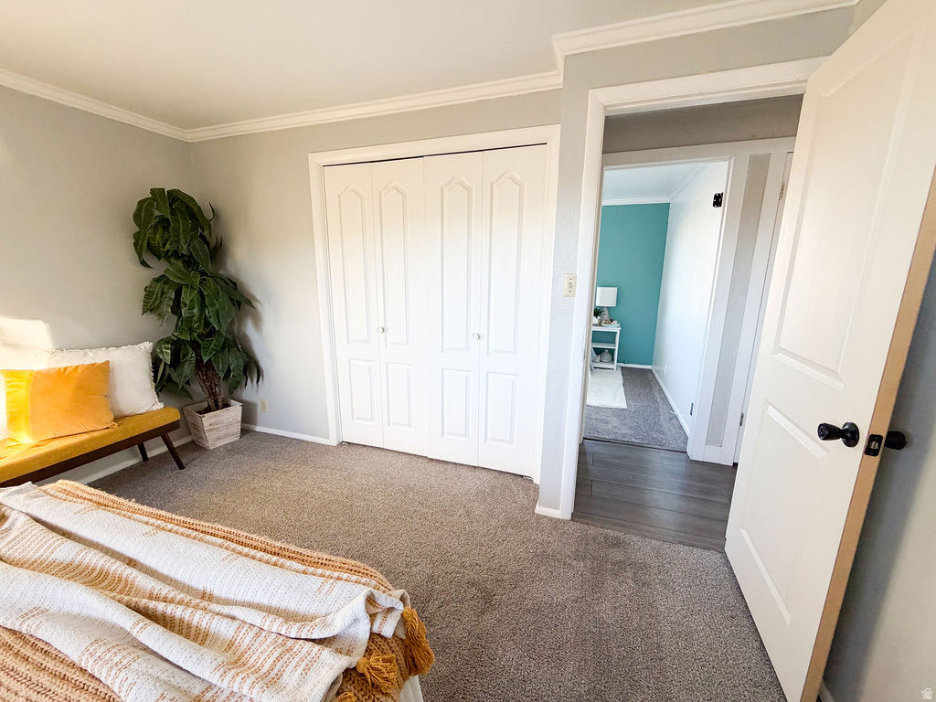 482 E 900 N Spanish Fork, UT 84660