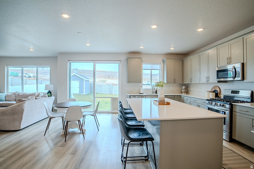 2517 N VELVET MOON DR Saratoga Springs, UT 84045