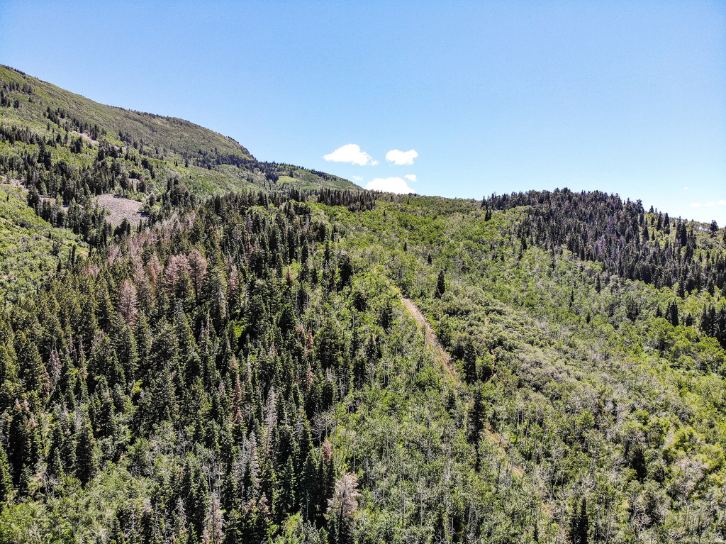 3090 ROCKY RD Kamas, UT 84036