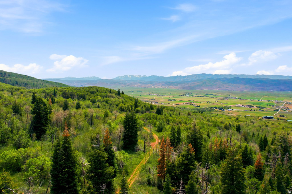 3090 ROCKY RD photo 4