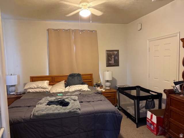 246 N 200 E Provo, UT 84606