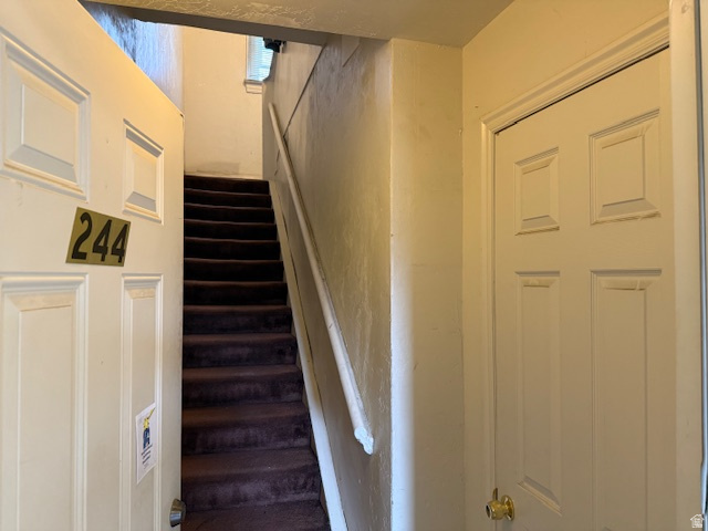 246 N 200 E Provo, UT 84606