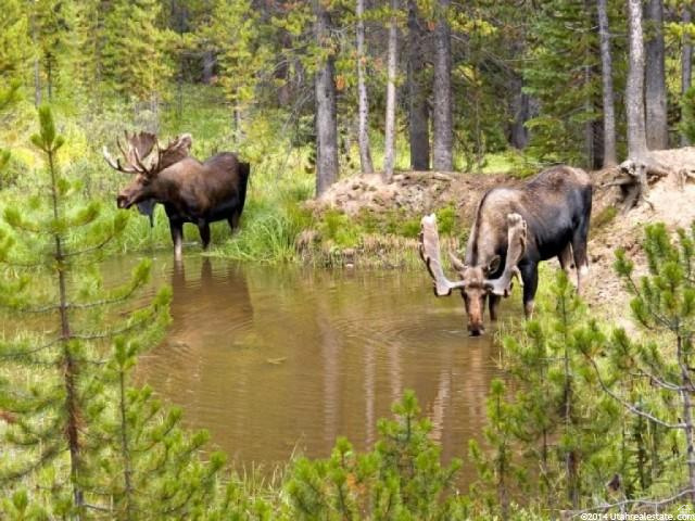 1870 S BEAVER BENCH RD Heber City, UT 84032