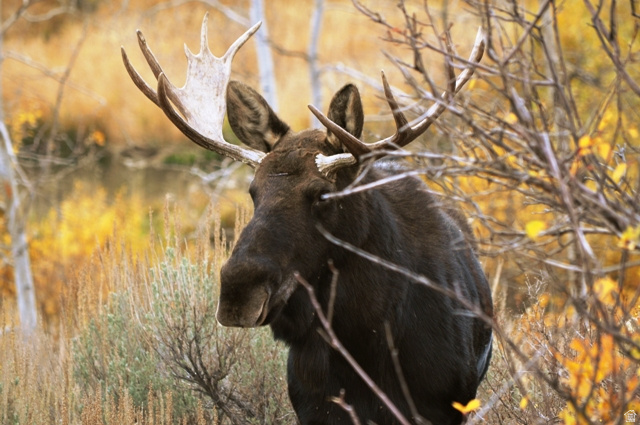 1870 S BEAVER BENCH RD Heber City, UT 84032