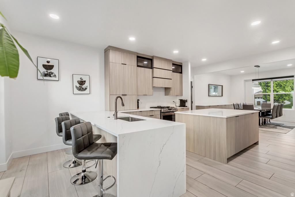 919 E ROCKY MOUTH LN Draper, UT 84020