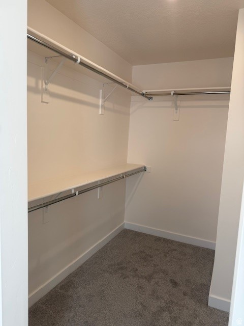 443 W SAPPHIRE DR #7036 Tooele, UT 84074