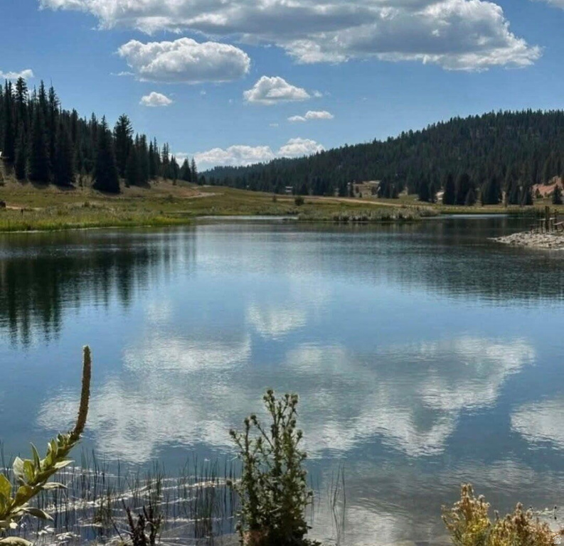 1275 N PIUTE DR Duck Creek Village, UT 84762