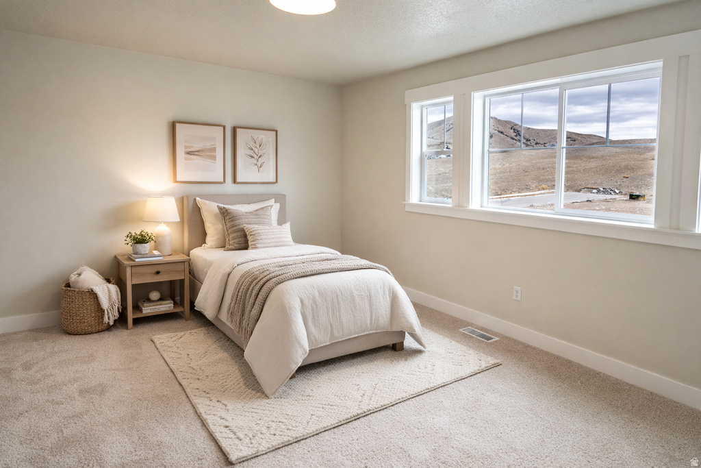 9579 N BLUEBELL DR Eagle Mountain, UT 84005