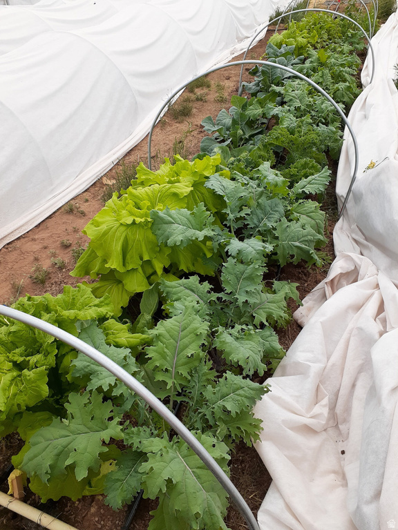 7587 S 39700 W Fruitland, UT 84027