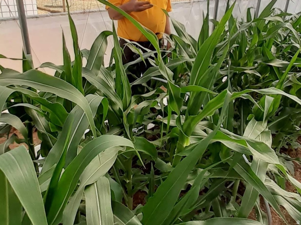 7587 S 39700 W Fruitland, UT 84027