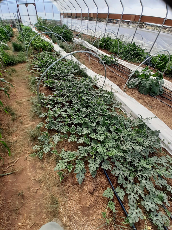 7587 S 39700 W Fruitland, UT 84027