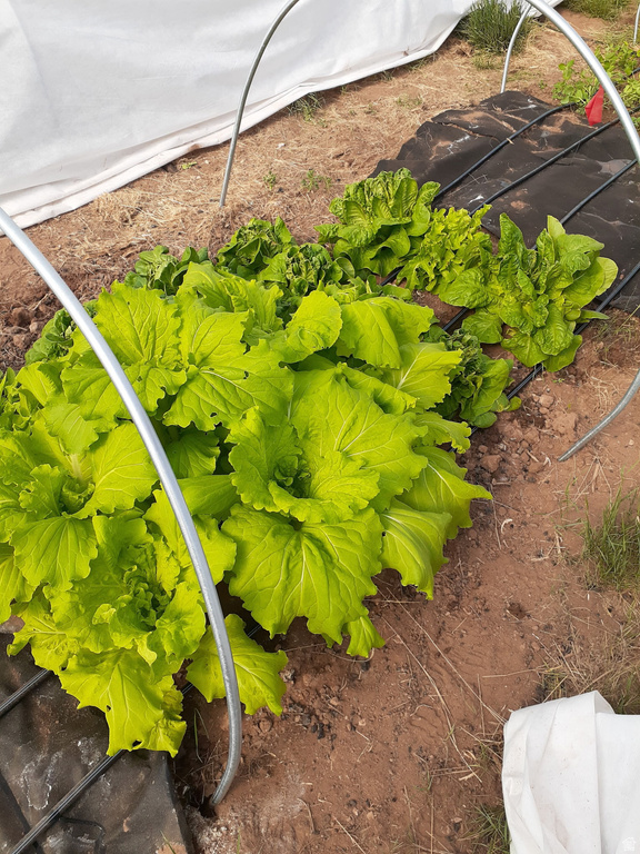 7587 S 39700 W Fruitland, UT 84027