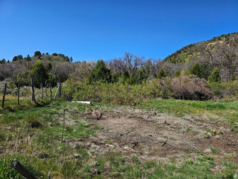  Mount Carmel, UT 84755