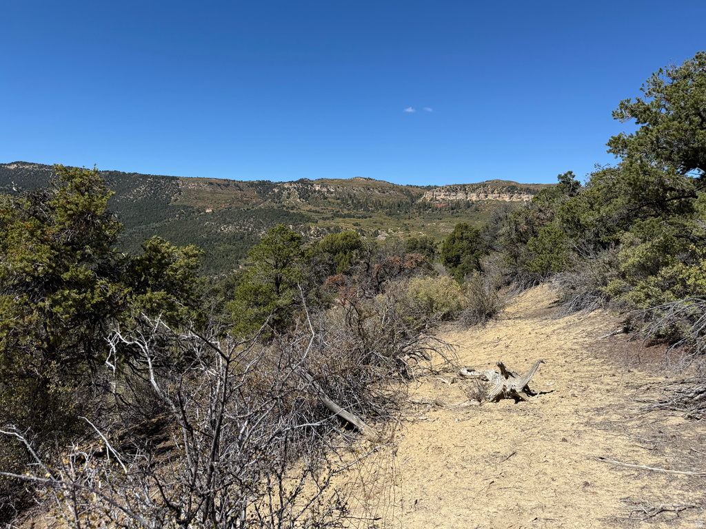  Mount Carmel, UT 84755