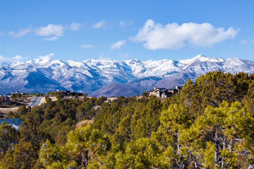 2877 E LA SAL PEAK DR Heber City, UT 84032