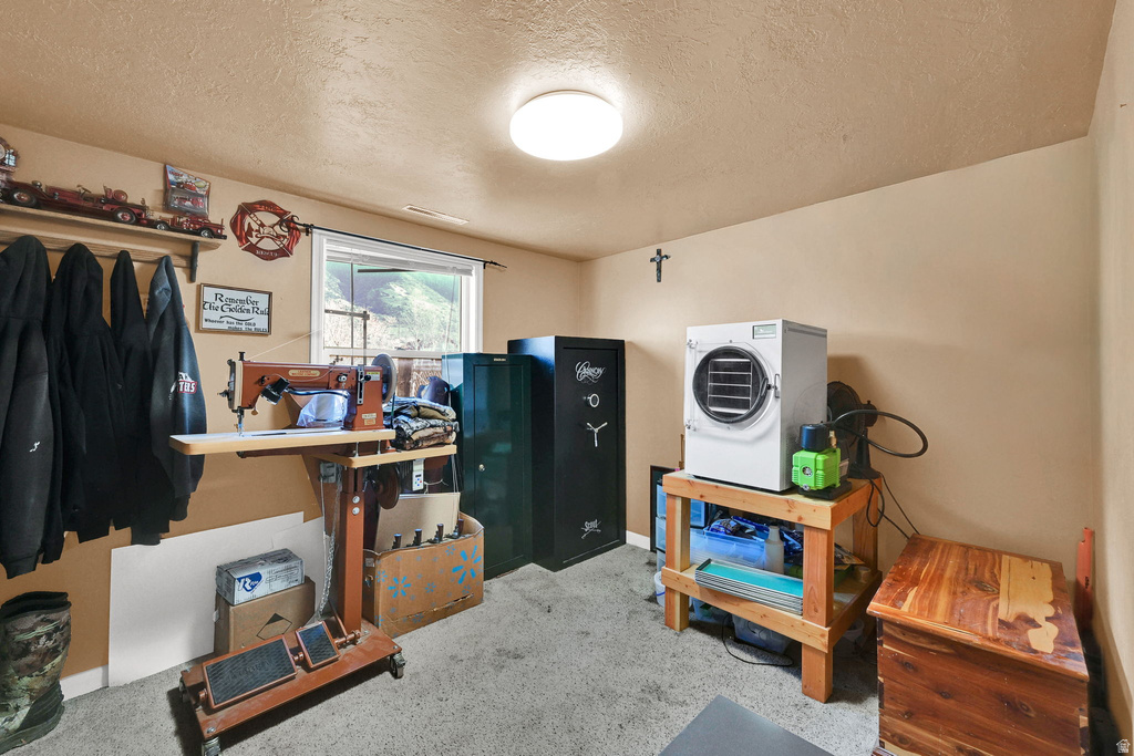 41 W 100 S Willard, UT 84340