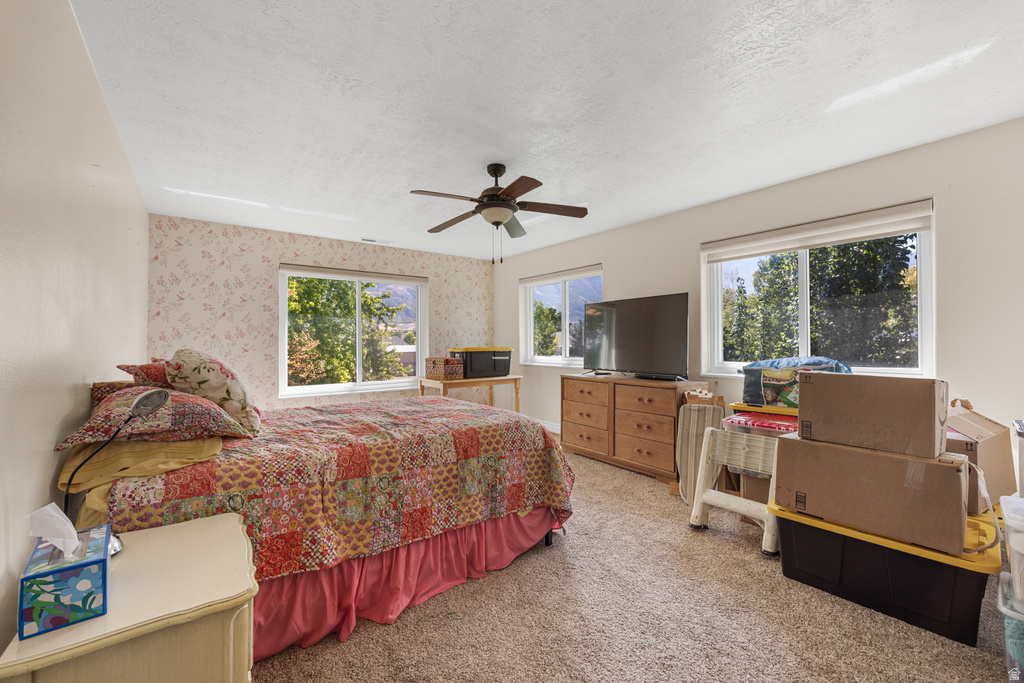 6 N SHADY LN Salem, UT 84653