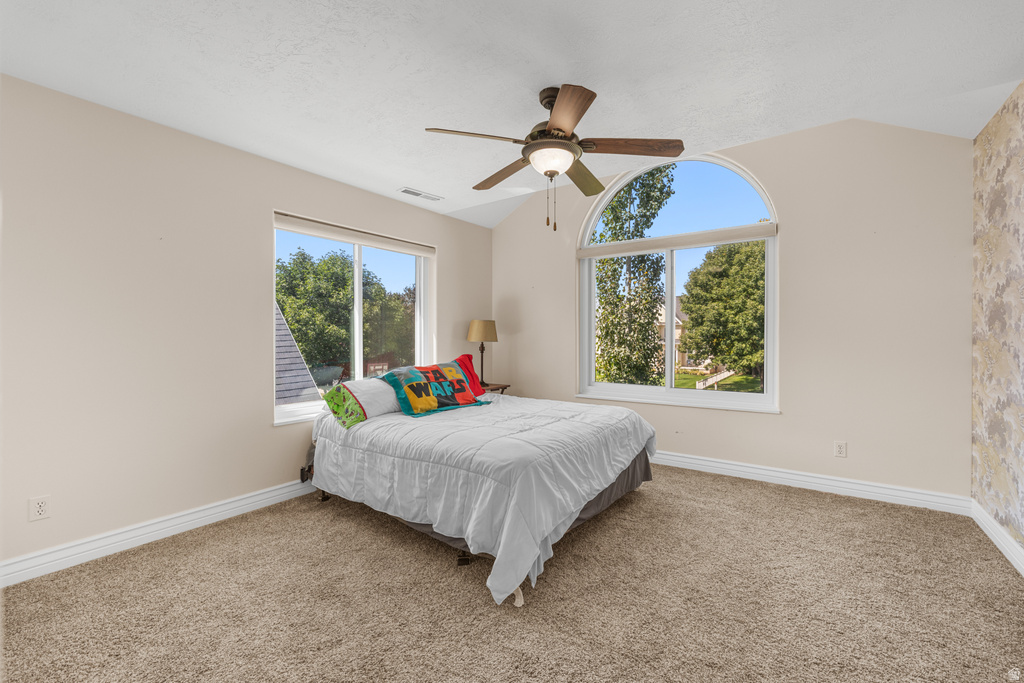 6 N SHADY LN Salem, UT 84653