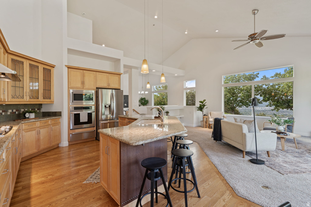 14133 S SPYGLASS HILL DR Draper, UT 84020