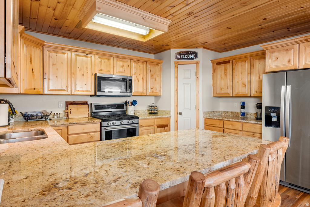 61 MULE DEER CIR Fish Haven, ID 83287