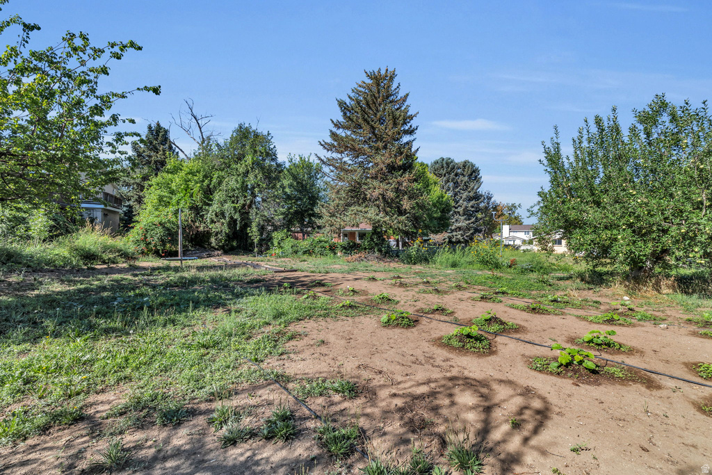 1351 E FORT BLVD Cottonwood Heights, UT 84121