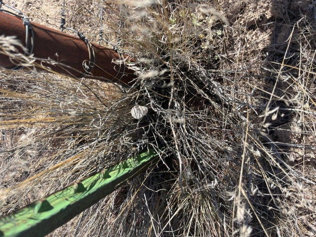 951  E-1567-0026-0000 Beryl, UT 84714