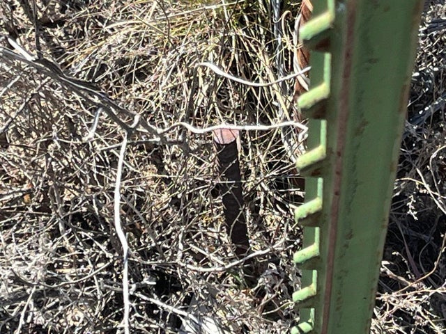 951  E-1567-0026-0000 Beryl, UT 84714