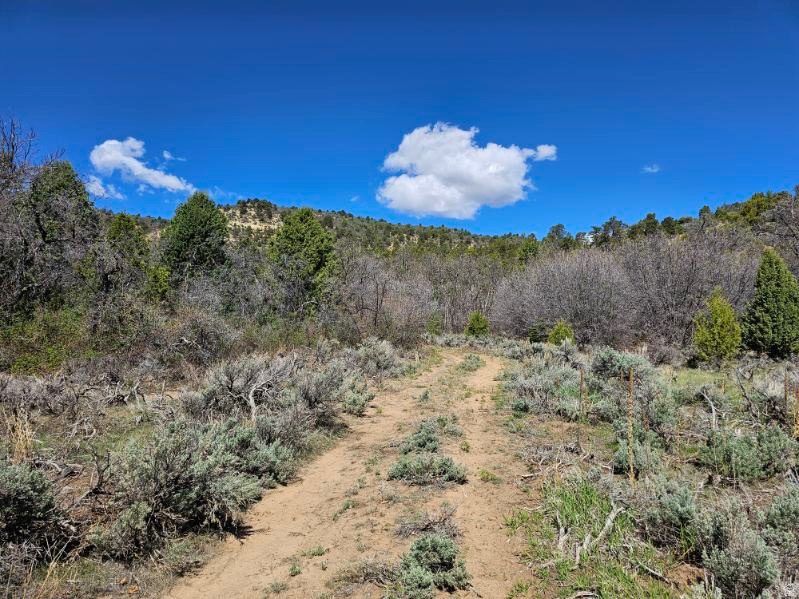  Mount Carmel, UT 84755