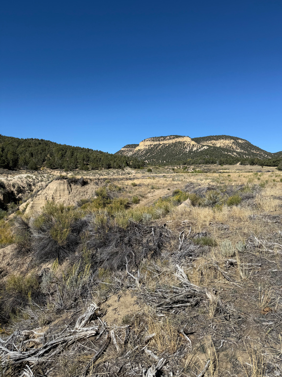  Mount Carmel, UT 84755