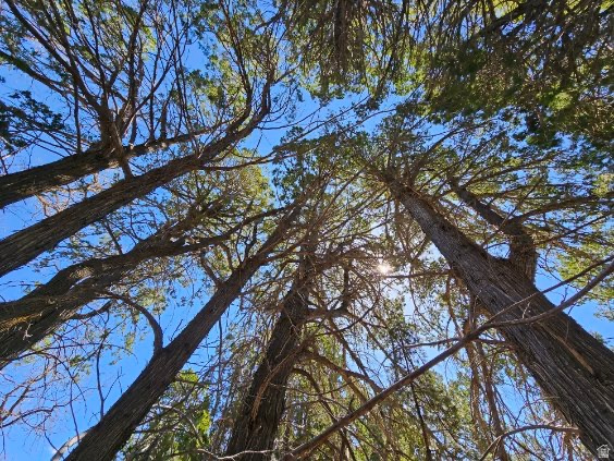  Mount Carmel, UT 84755