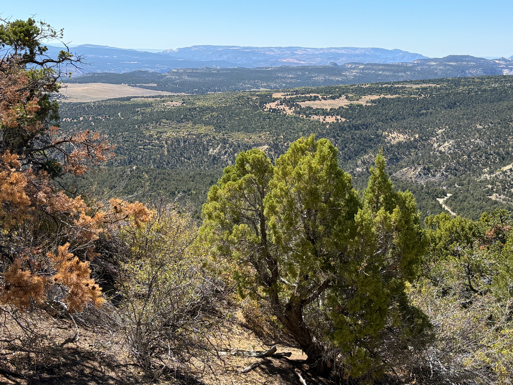  Mount Carmel, UT 84755