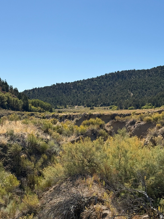  Mount Carmel, UT 84755