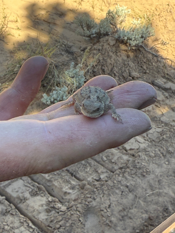  Mount Carmel, UT 84755