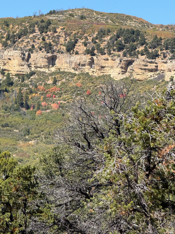  Mount Carmel, UT 84755