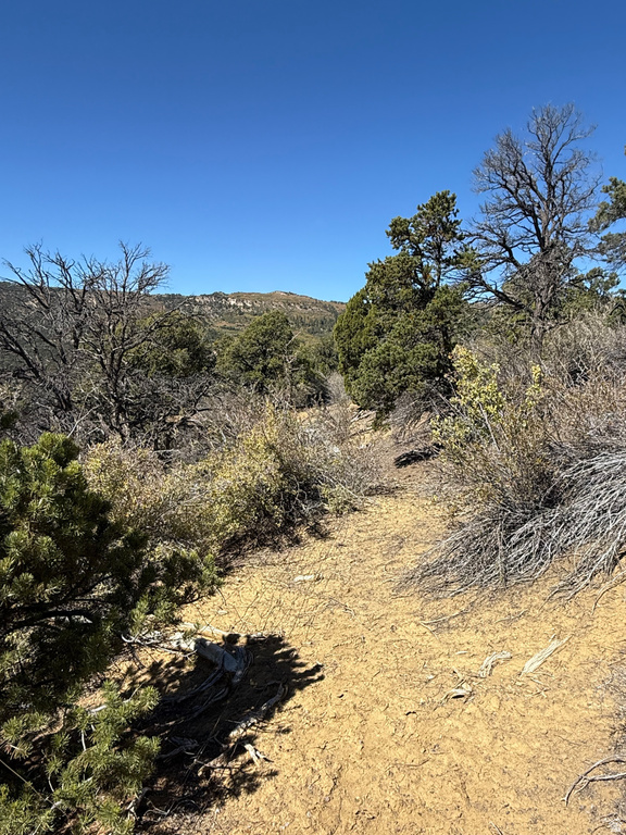  Mount Carmel, UT 84755