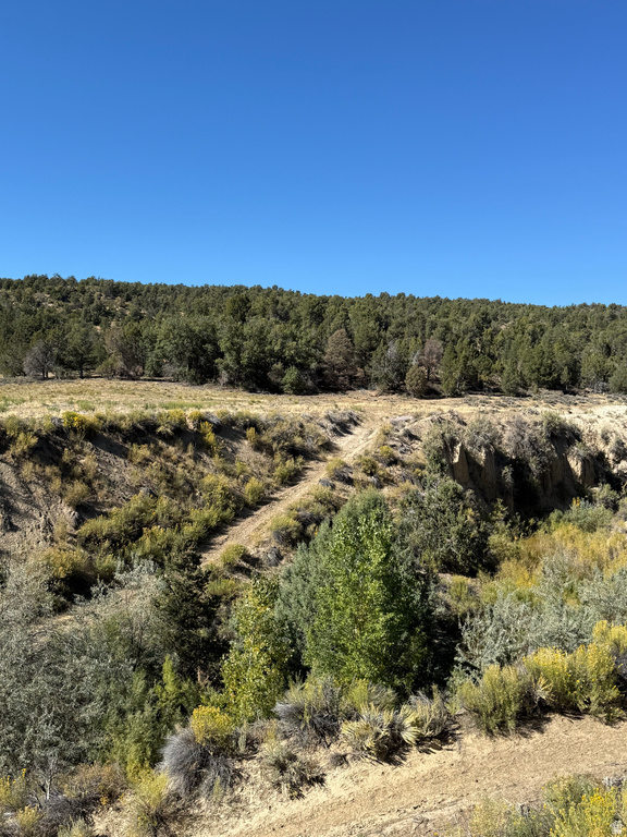  Mount Carmel, UT 84755