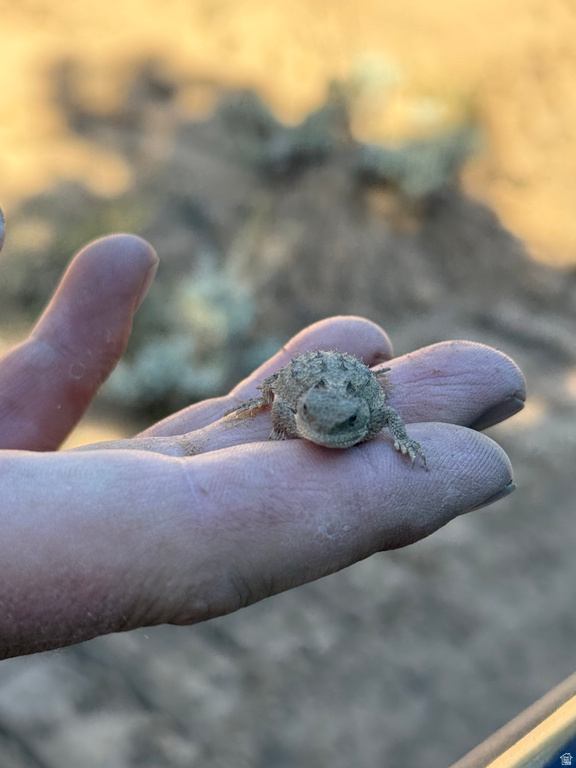  Mount Carmel, UT 84755