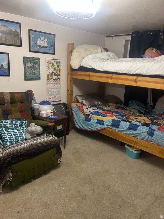 195 N 200 W Ephraim, UT 84627