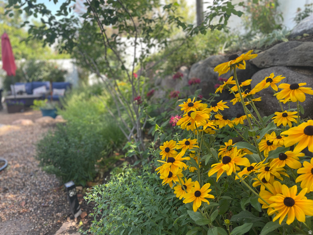 1694 E APPLE ORCHARD CT Draper, UT 84020