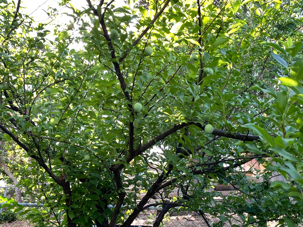 4085 S OLYMPIC WAY Holladay, UT 84124