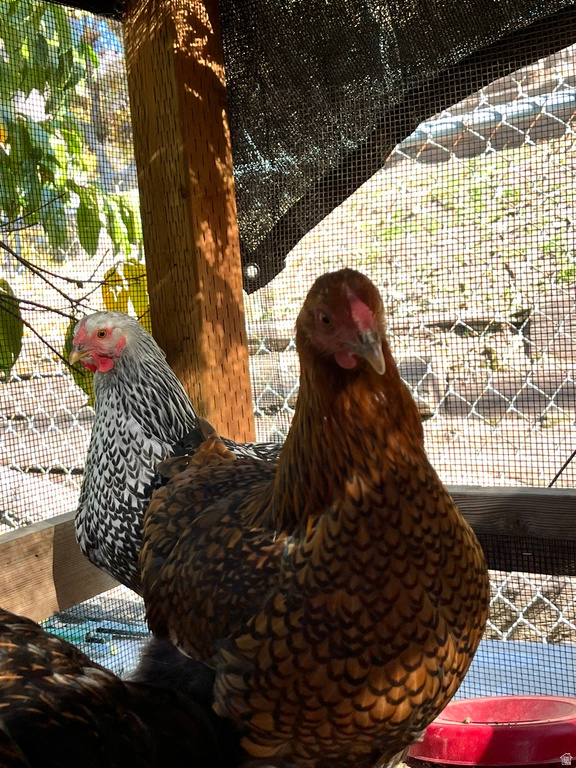 4085 S OLYMPIC WAY Holladay, UT 84124