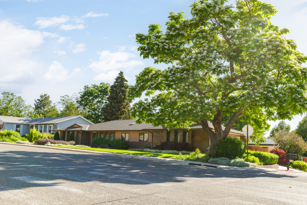 814 S 860 W Cedar City, UT 84720