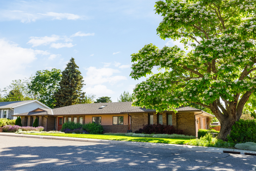 814 S 860 W Cedar City, UT 84720